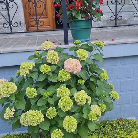 Garden Guest House Пермет Екстер'єр фото