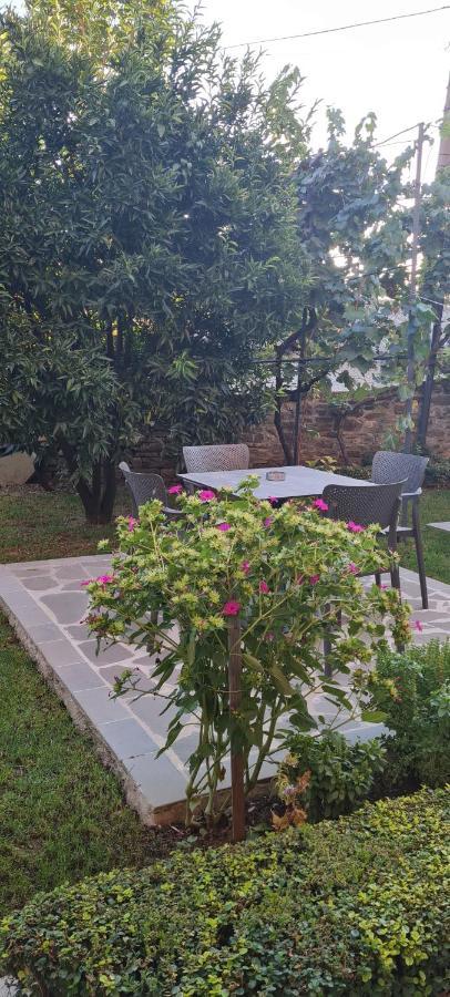 Garden Guest House Пермет Екстер'єр фото