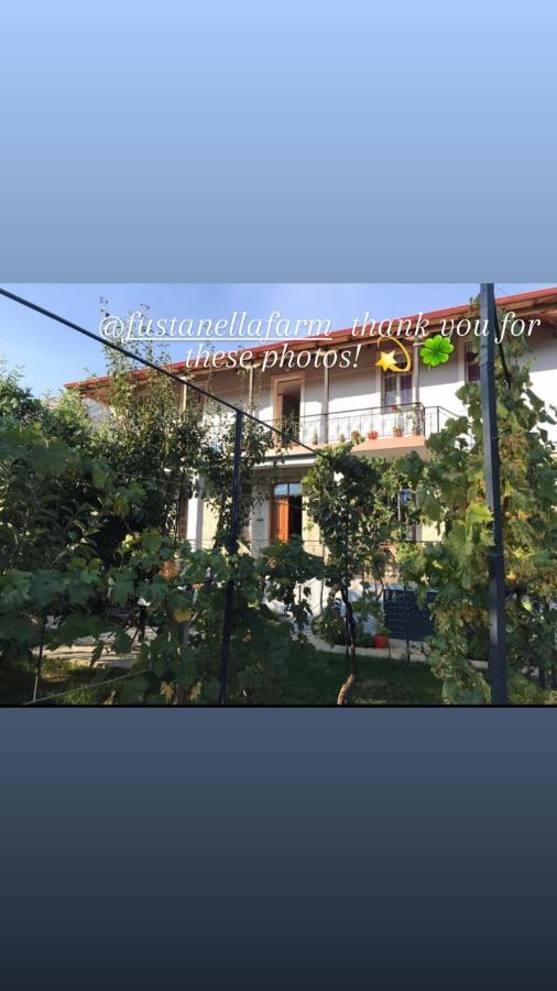 Garden Guest House Пермет Екстер'єр фото