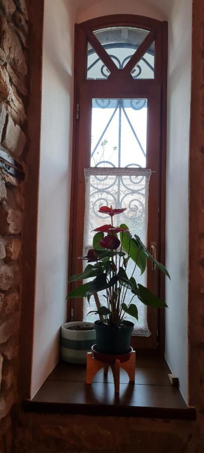 Garden Guest House Пермет Екстер'єр фото