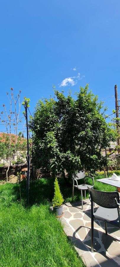 Garden Guest House Пермет Екстер'єр фото