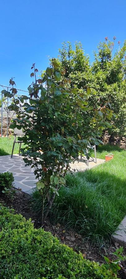 Garden Guest House Пермет Екстер'єр фото