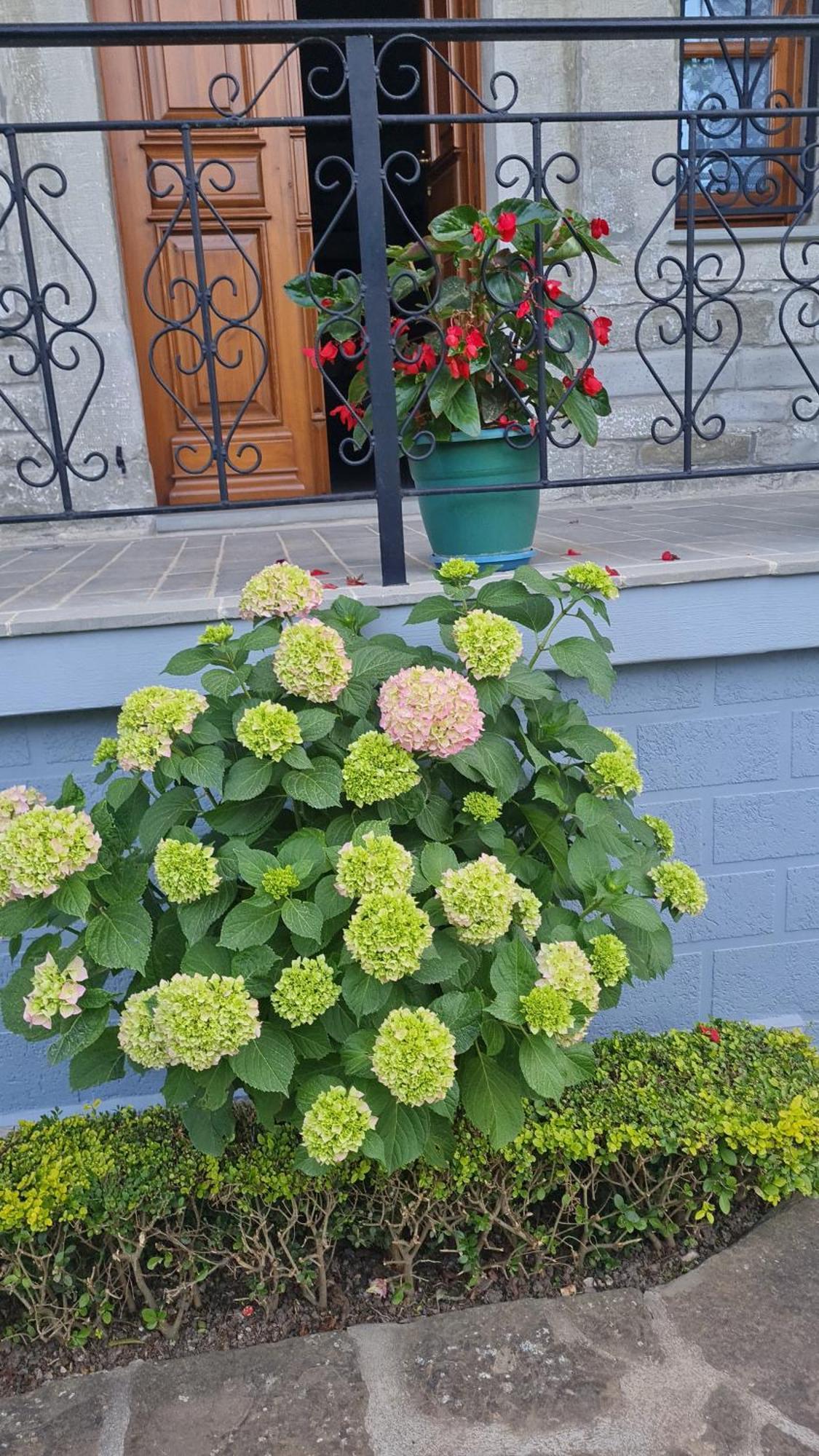 Garden Guest House Пермет Екстер'єр фото