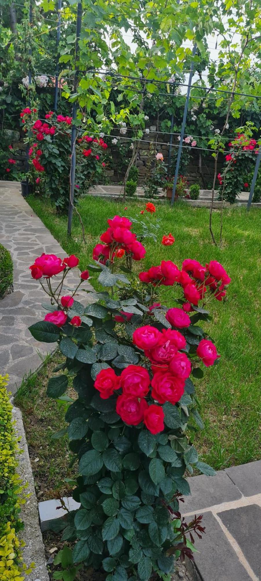 Garden Guest House Пермет Екстер'єр фото