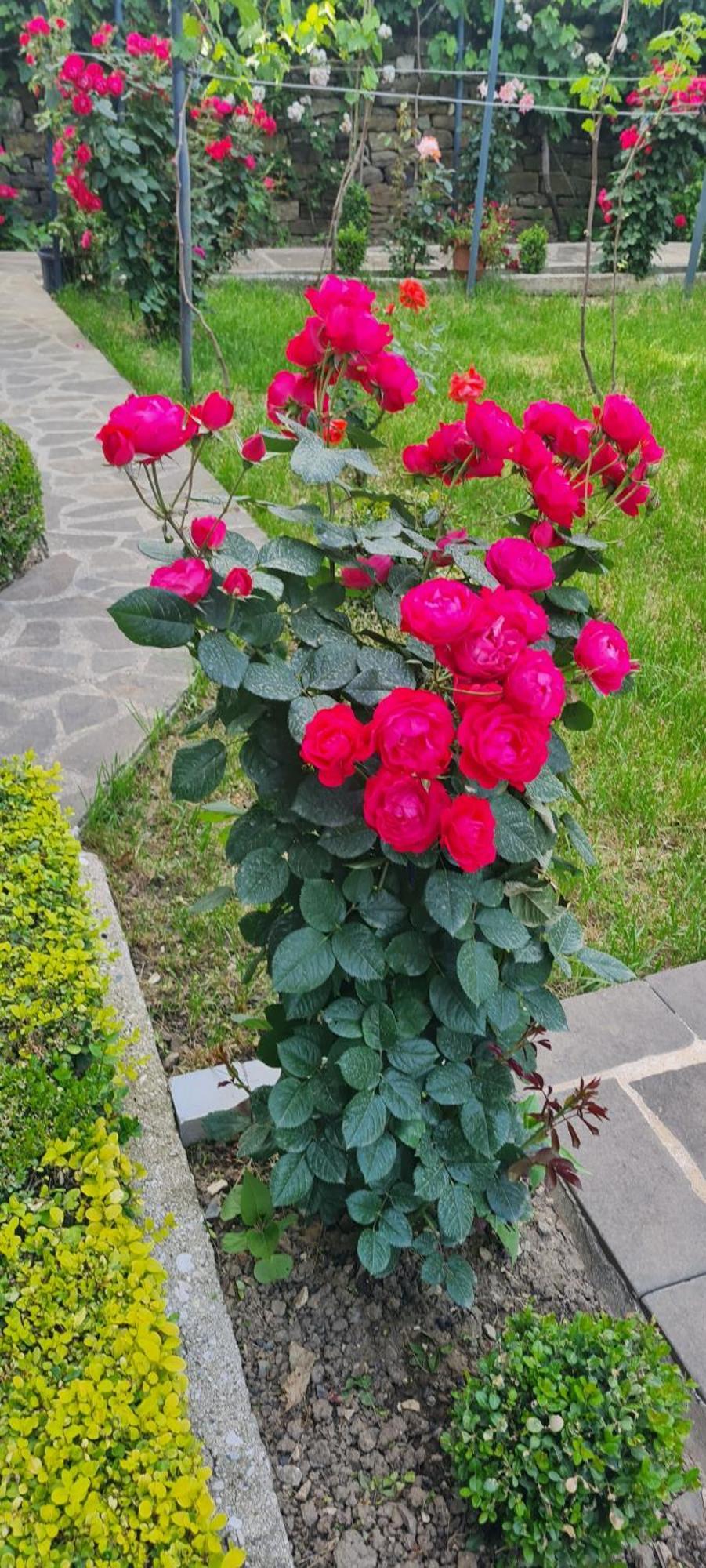 Garden Guest House Пермет Екстер'єр фото